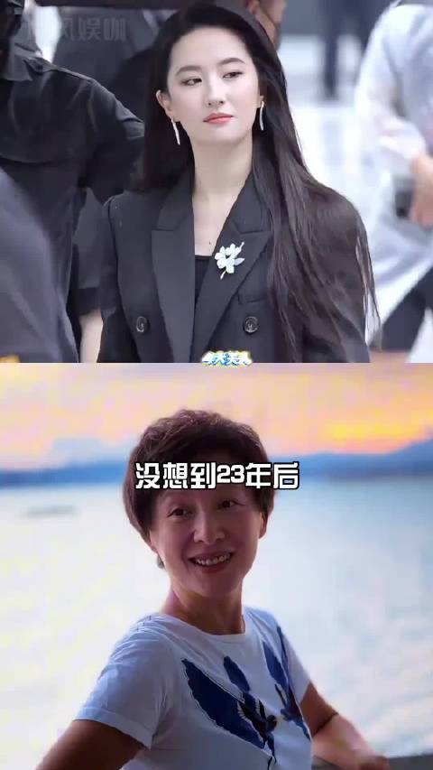 时隔23年，刘亦菲董洁舒畅徐露各自精彩