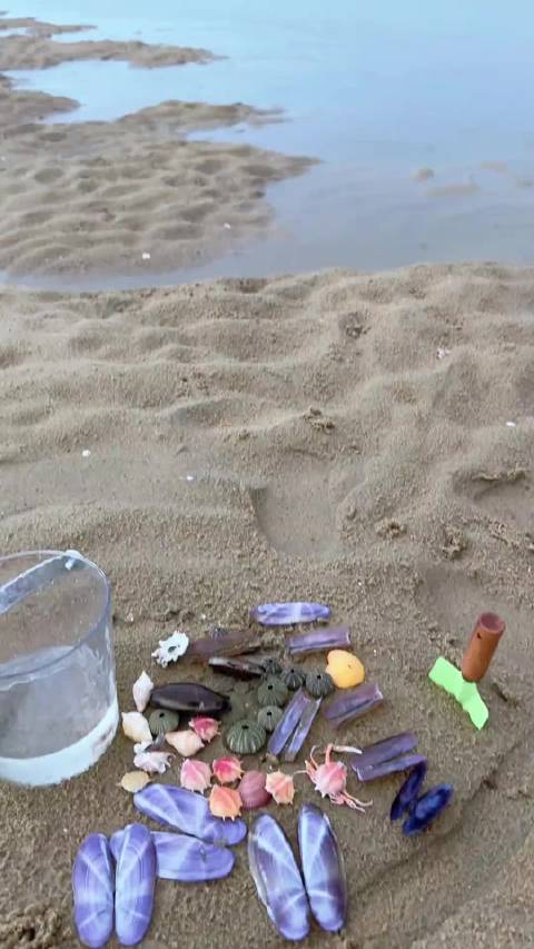 朋友说不要捡 好多寄生虫