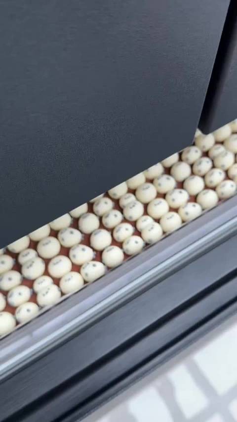 冻了一冰箱海豹冰淇淋 巧克力味儿