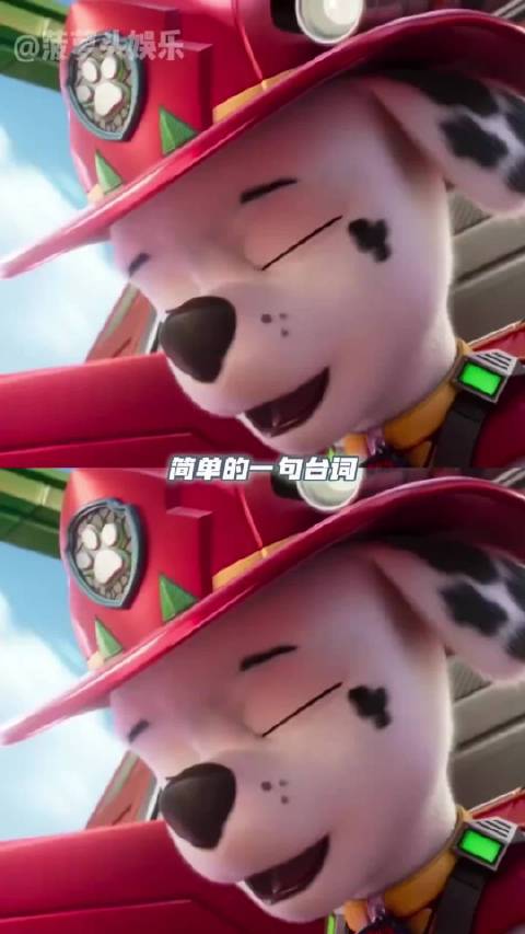 爱上汪汪队人之常情