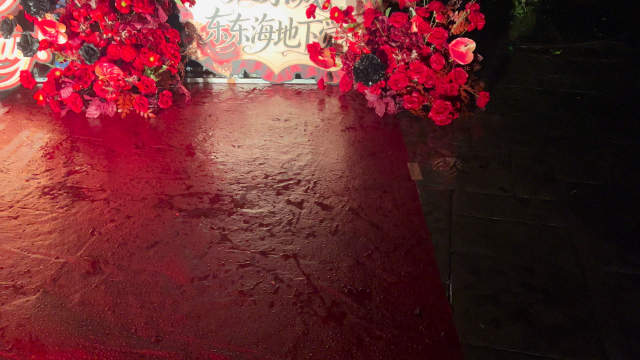 汪东城感谢深圳世界之窗与欣馨鲜花团队连夜搭建花墙