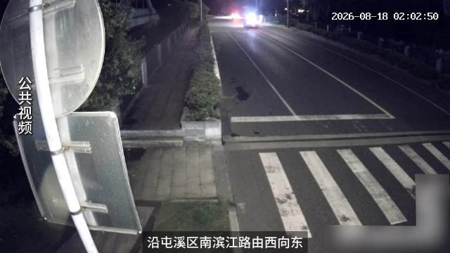 这种保险应该不会赔，车主全部买单了吧？