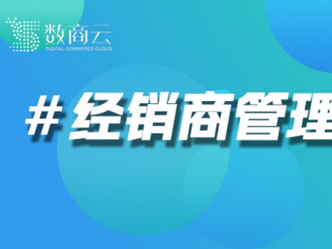 2026年十大DMS经销商订货系统推荐 2026年十大DMS经销商订货系统推荐