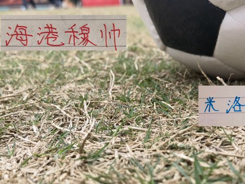 第25轮！海港不跟申花同命 申花这次输球