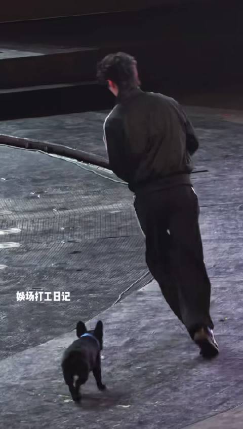 黑啤：老爹你跑慢点，在遛我，我不追了… 何与：嘻嘻，我的好大儿