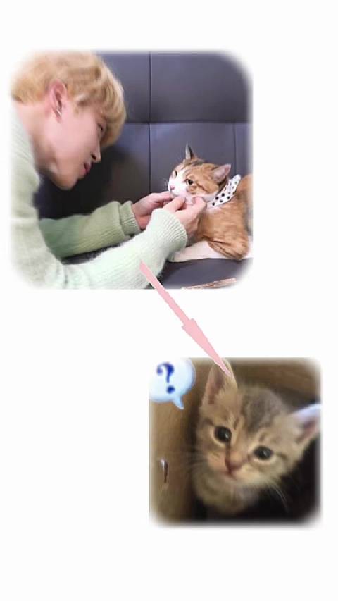 最重要的是要一直喜欢小猫 朴智旻 朴智旻怦然心动