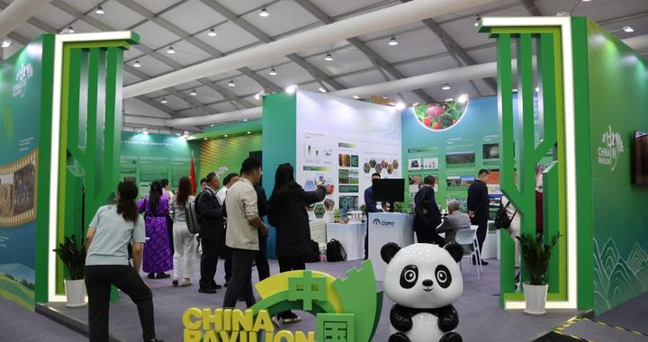 专访丨期待与中方深化荒漠化防治合作——访蒙古国环境部长策·桑达格-奥其尔 专访丨期待与中方深化荒漠化防治合作——访蒙古国环境部长策·桑达格-奥其尔