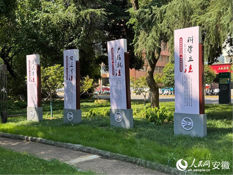 e法润江淮丨网络法治宣传池州站启动