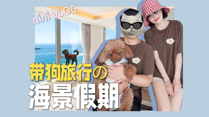 2026宠物友好酒店排行榜：这三家才是真·毛孩子天堂+FAQ