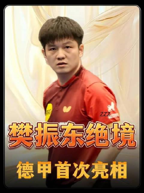 樊振东登陆德甲一年，观众激增德国人放弃假期