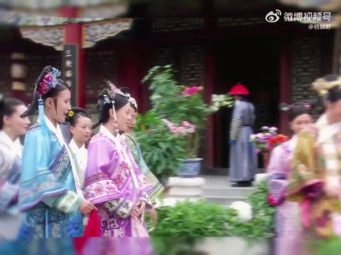 甄嬛传中的美女完全是百花齐放环肥燕瘦各有千秋