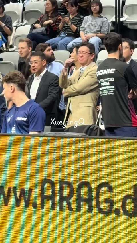 法兰克福总领事黄昳扬，又来看到樊振东打球了，谁不喜欢三观正的人啊