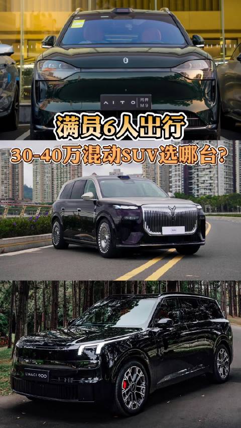 满员6人出行，30-40万混动SUV选哪台？