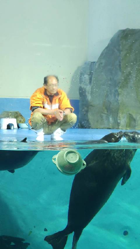 我就这么看着海豹亲嘴