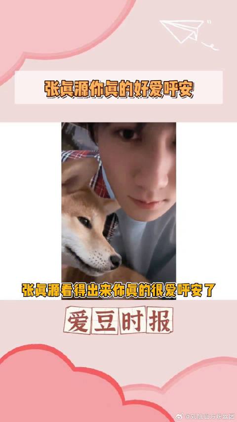 张真源 微博VC计划