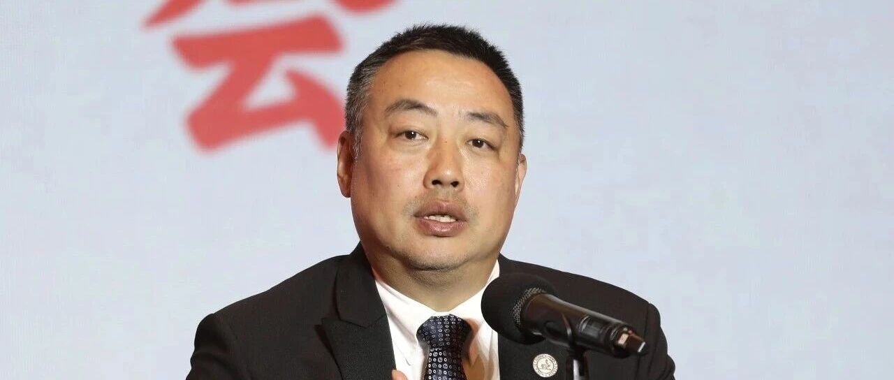 刘国梁参加国际乒联会议