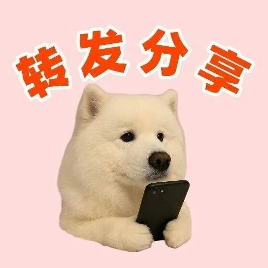 广东车主注意！车船税优惠政策将调整
