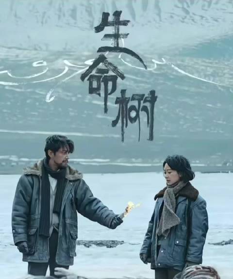 第33届金鹰奖颁奖延期，两剧男女主演同入围