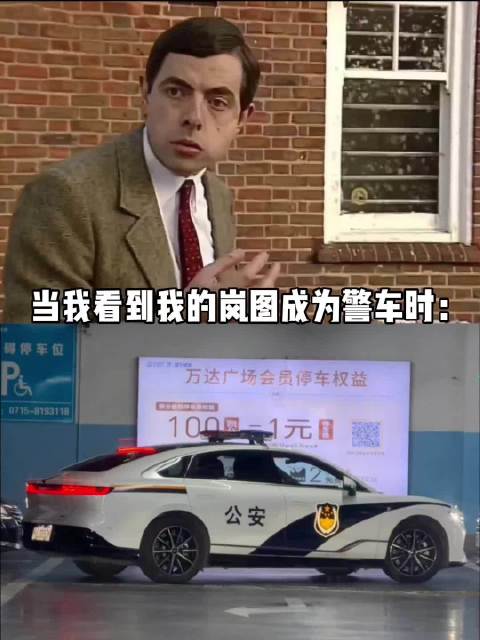 当我看到我的岚图成为警车时……