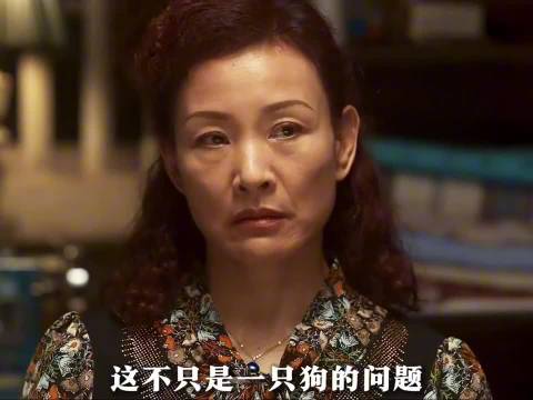 因为爱主题首次唱响，忠犬八公故事让人泪目