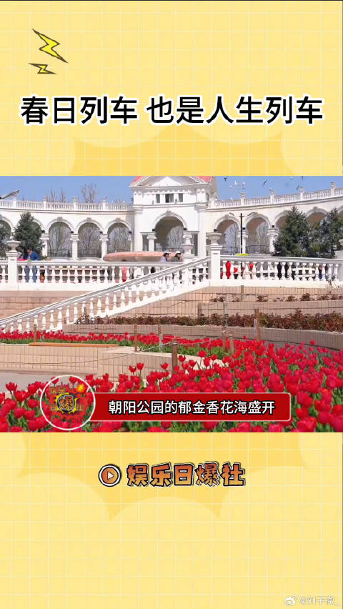 和最爱的人来看张学友演唱会 是独属于这个春天的浪漫 张学友北京演唱会