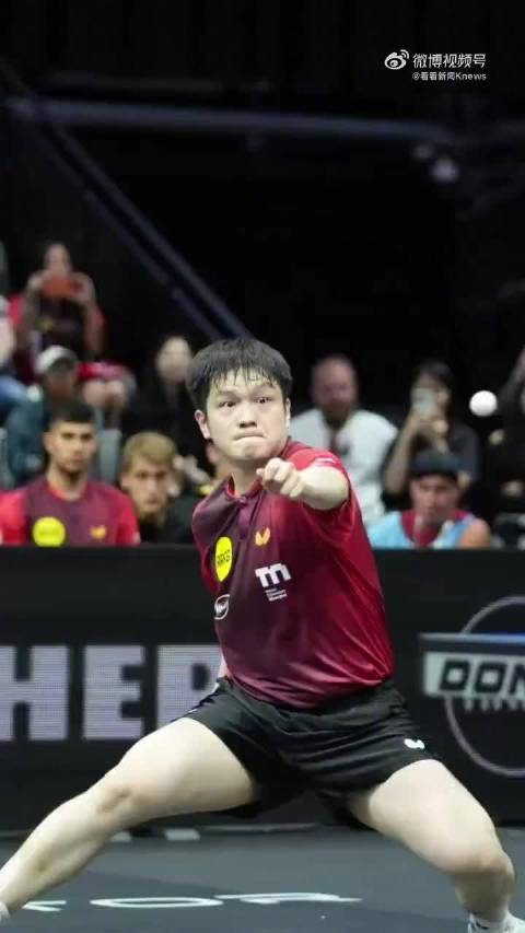 杜塞尔多夫1比3输球，樊振东无缘德国杯8强