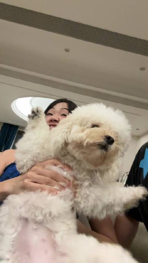 亚特兰大的质地