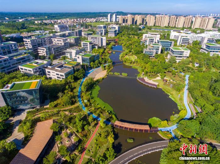 海南产经新观察：“全国百强县”助企出海