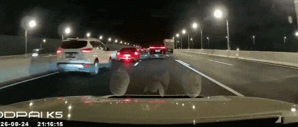 两男子嘉闵高架违法飙车，后续来了！