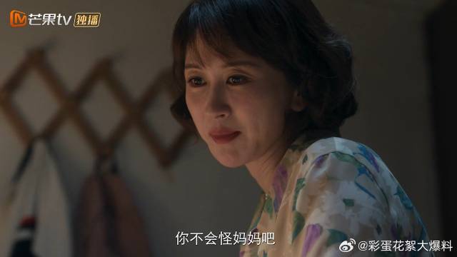 母亲应酬半夜才回来，安抚苗靖给她补过生日，又给苗靖画大饼