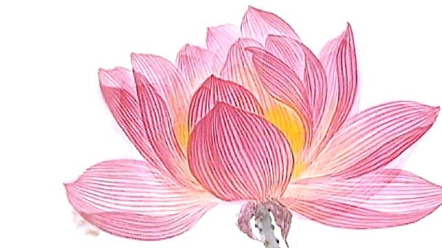 唐伯虎的画的纸上莲画竟然会开花