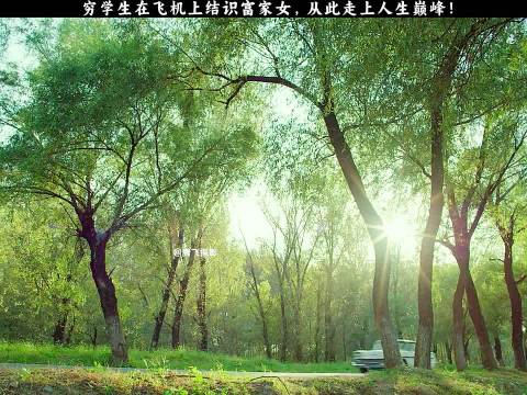 富豪用金钱换陪伴，喜宝以鸽子蛋钻戒作答