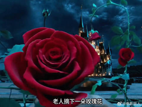 美女与野兽