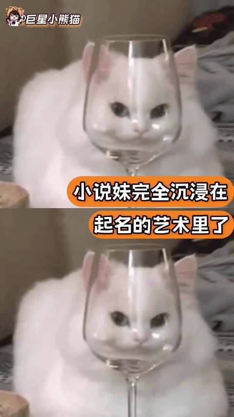 小说妹已经完全沉浸在自己起名的艺术里了