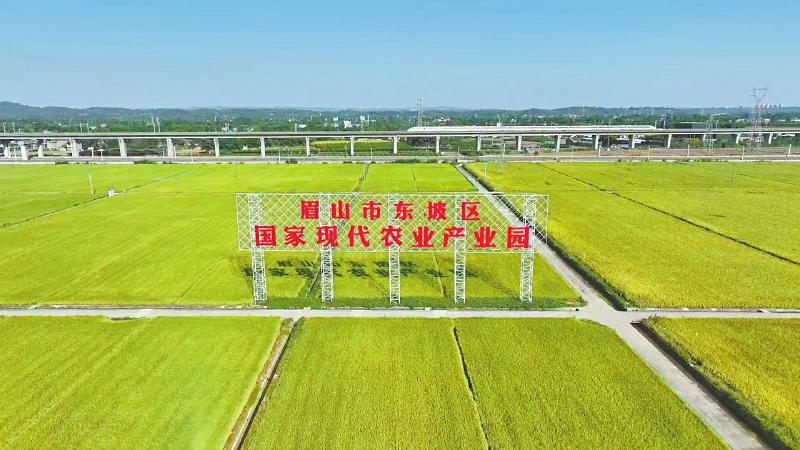 四川农商银行出台二十四条措施 全面支持农业农村现代化