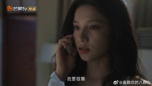 陈异上了张总的贼船，参与走私，哪知苗靖直接选择报警