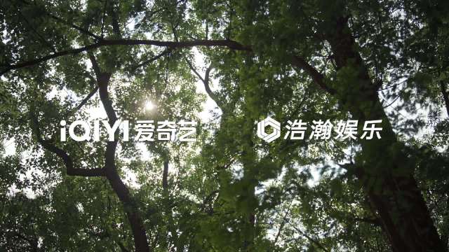 生逢其时年代剧免检阵容，群像故事看点满满