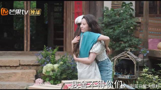 大麦离开有风小院，含泪依依不舍，抱着许红豆不放