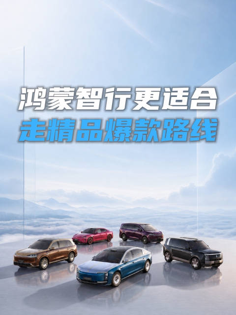 似乎鸿蒙智行更适合精品爆款的路线？