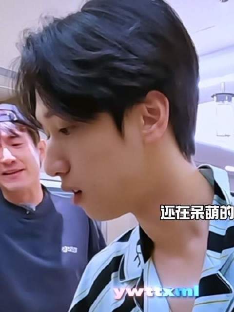 这是我的西游 综艺