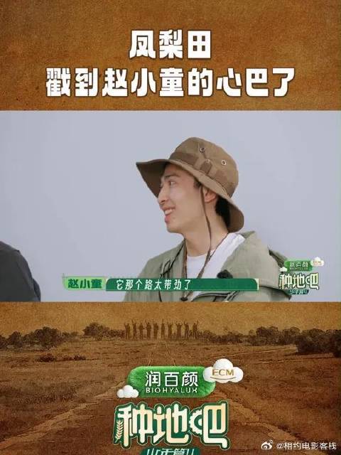 凤梨田戳到赵小童的心巴了 为凤梨田提出农文旅新思路，逻辑清晰，思路灵活！