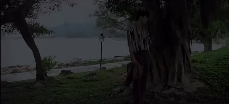 遇见王子奇