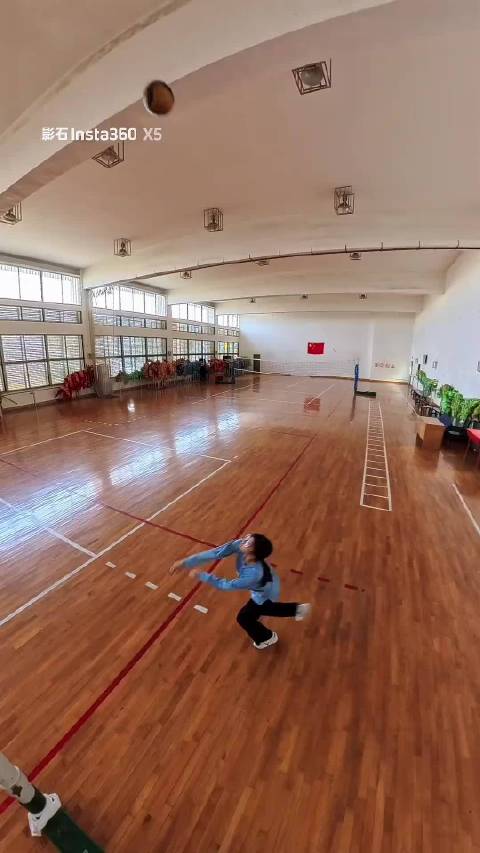 小蚂蚁闪亮登场！