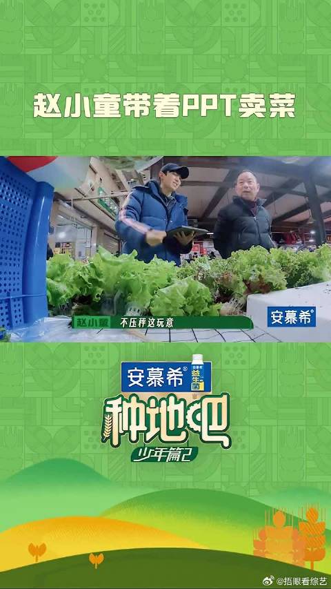 赵小童带着PPT卖菜