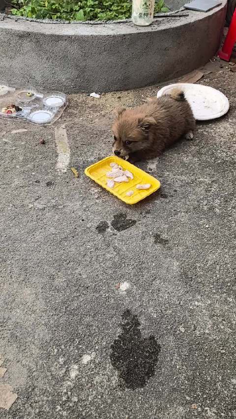 2026.5.7小福星来我家