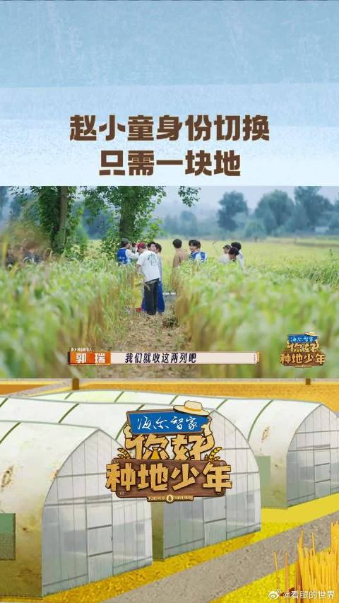 赵小童身份切换只需一块地