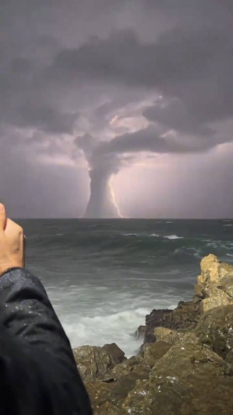这一幕好像怪奇物语里那个夺心魔哇