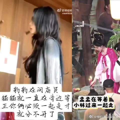 不管是过去，现在，还是未来，希望你们都一如既往平淡的幸福着