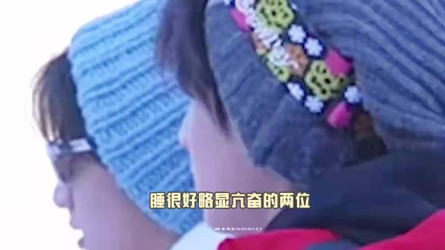 文严文双A舞台狼王严王气场强