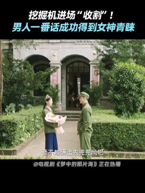 贺红玲决然倾心叶国华，为前途背叛爱情